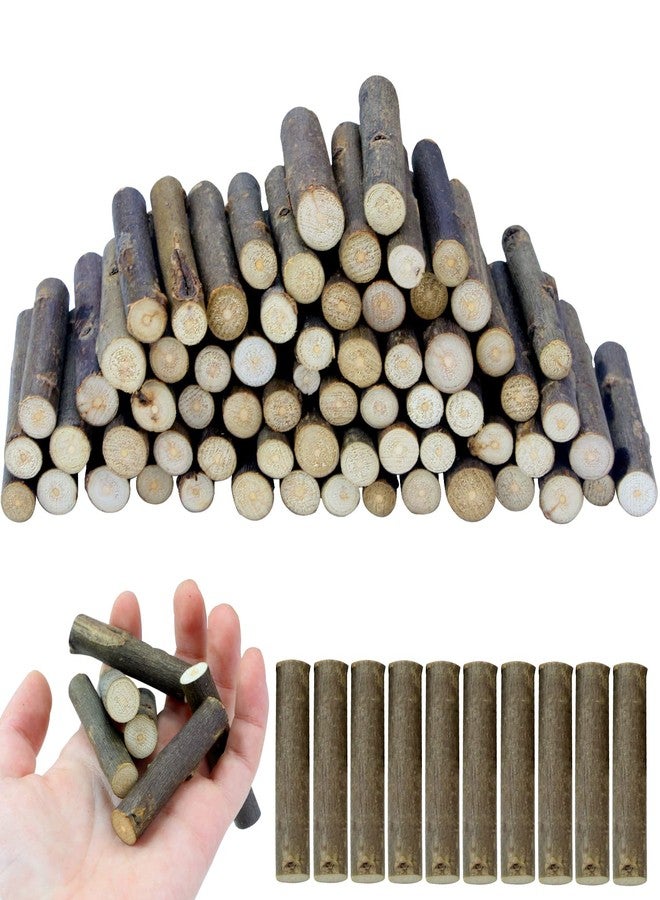 FSWCCK 100 PCS Craft Sticks, 2 Inch Natural Birch Twigs Sticks, Mini Wood Log for DIY Crafts, Farmhouse Centerpiece Decor and Rustic Home Decor - Image 1